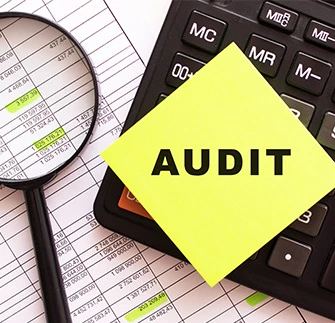 IRS Audit 2024 : Worker Classification 101