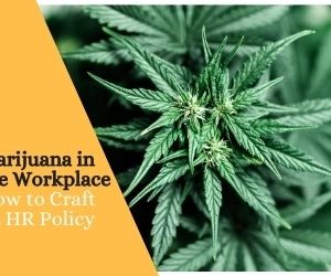 Marijuana in the Workplace: How to Craft an HR Policy