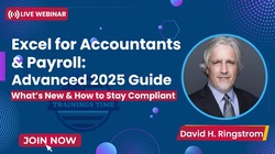 Excel for Accountants & Payroll: Advanced 2025 Guide
